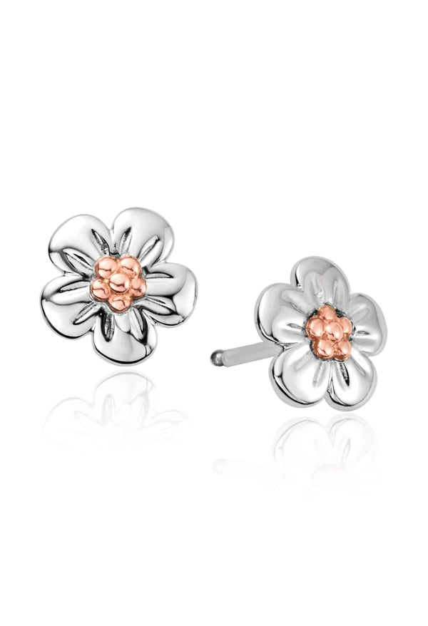 Clogau Natures Wonder Forget Me Knot Stud Earrings in Sterling Silver