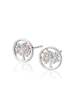 Clogau Tree Of Life Stud Earrings Sterling Silver