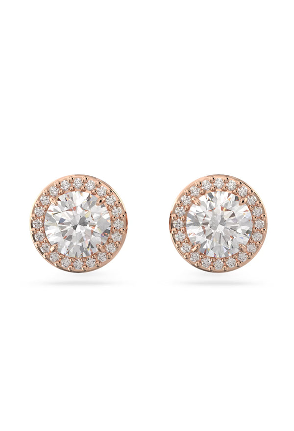 Swarovski Constella: Round Cut Pave Stud Earrings Rose Gold Plated