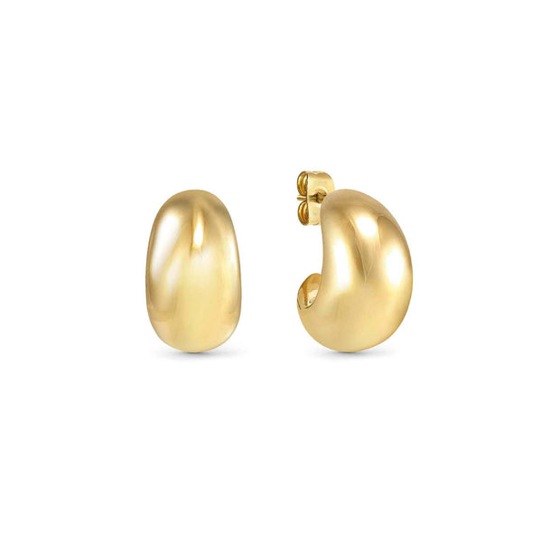 Ecclettica Golden Small Moon Earrings